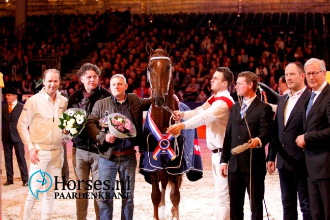 horses-tp-kampioen-jesse-james-medium-1