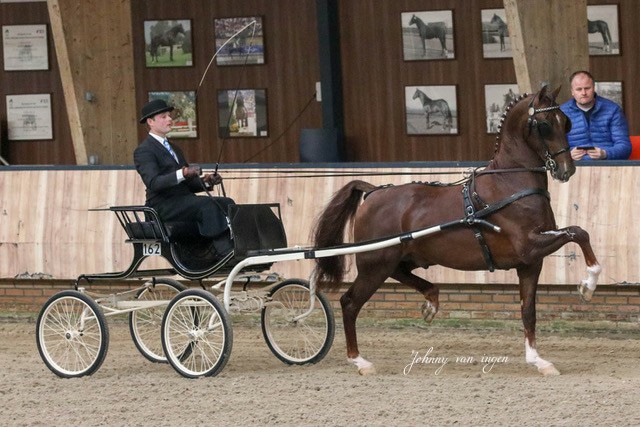 Vrijdag 23 augustus afstammelingenkeuring Innovatief en Jesse&nbsp;James