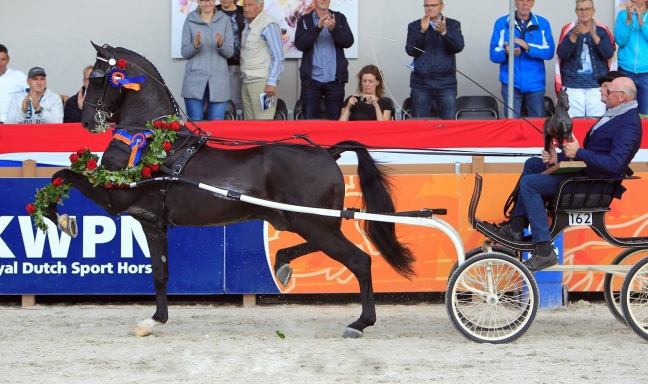 Overwinningen voor Hertog Jan, Jericho en&nbsp;Dylano