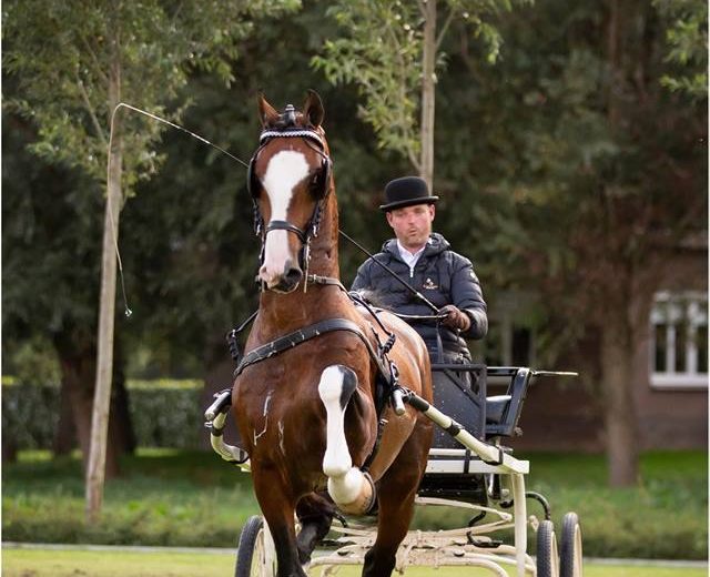 Hertog Jan wint in&nbsp;Doornspijk