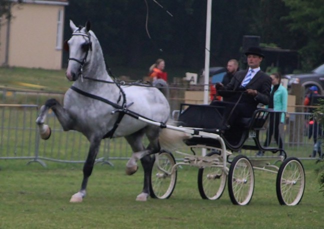 Idol wint in&nbsp;Bennekom