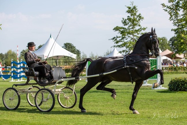 Dylano wint ereklasse in&nbsp;Drogeham