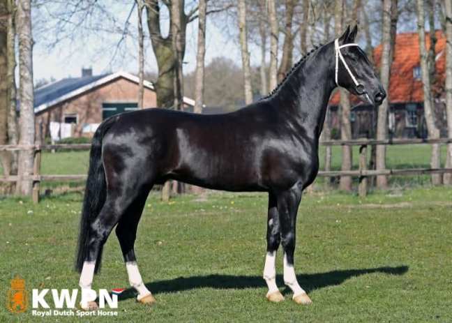 Nieuwe foto’s Leffe Blond en Lancelot&nbsp;online