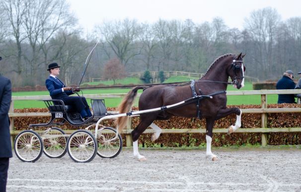 Leffe Blond en Lancelot begonnen aan verrichtingsonderzoek