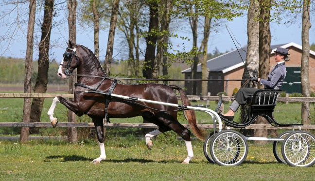 Leffe Blond goedgekeurd!