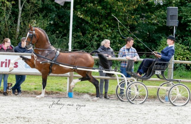 Winst voor Jericho en Hertog Jan in&nbsp;Eext