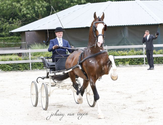 Nadialina kampioen en winst voor Jericho en Hertog&nbsp;Jan