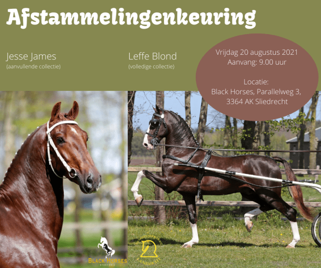 Afstammelingenkeuring Leffe Blond en Jesse James (aanvullende&nbsp;collectie)