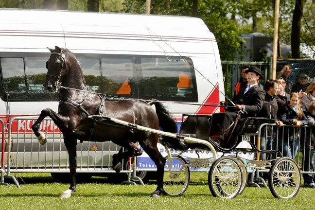 Dylano wint ‘generale repetitie’ in&nbsp;Houten
