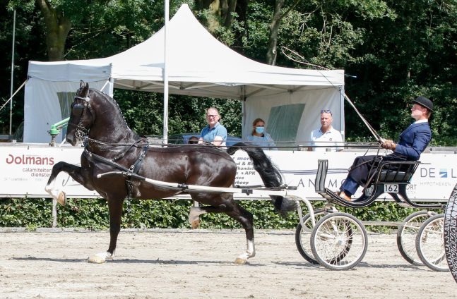 Oranje voor Latino, Jericho en Hertog Jan in&nbsp;Waalwijk