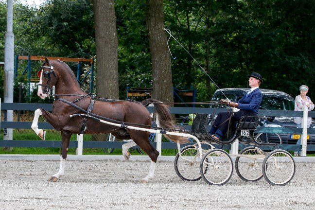 Leffe Blond en Onana winnen in&nbsp;Siegerswoude