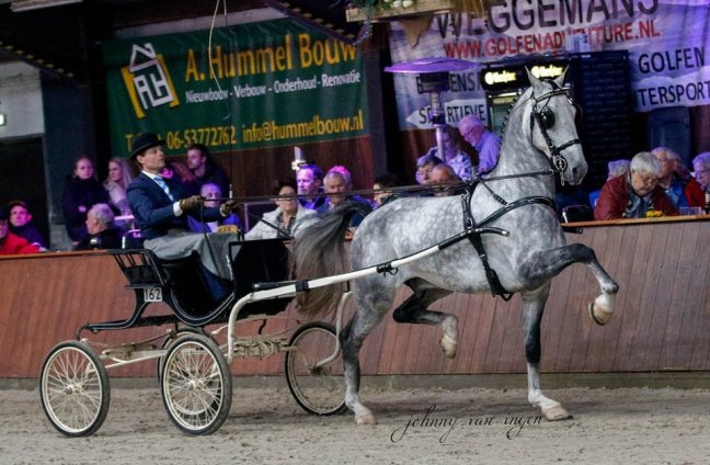 Idol nakomelingen schitteren in&nbsp;Doornspijk