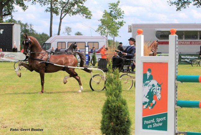 Nevaro, Latino, Jericho en Eclipse Greatest Dancer winnen in&nbsp;Waalwijk