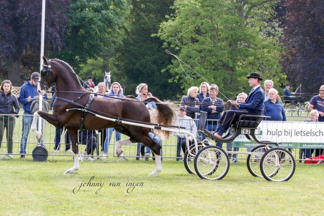 Leffe Blond, Jericho en Eclipse Grasshopper naar winst in&nbsp;Luttenberg