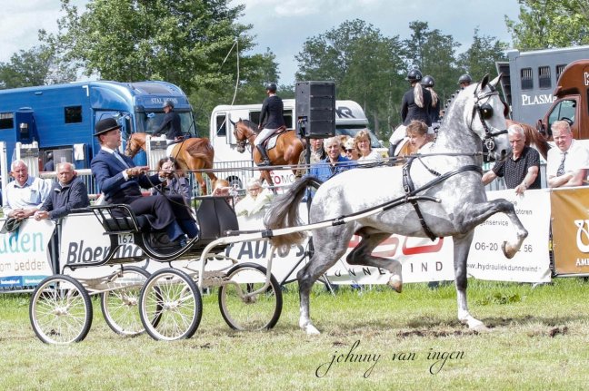 Nevaro en Latino op kop in&nbsp;Houten
