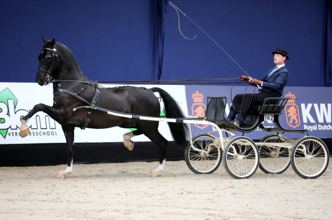 Latino aangewezen voor de tweede bezichtiging in Den&nbsp;Bosch