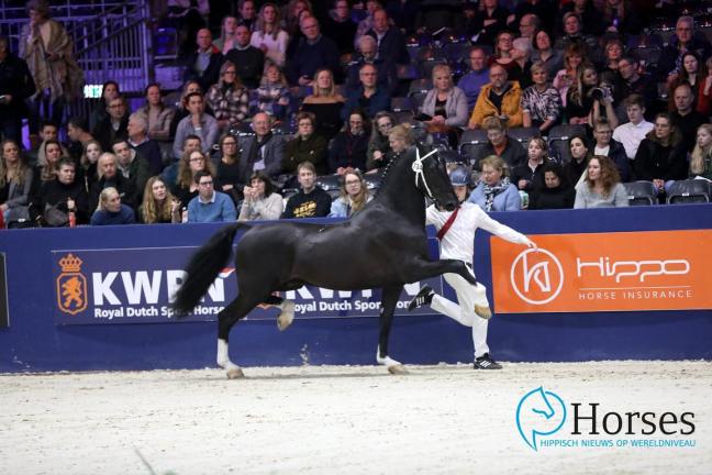 Latino aangewezen voor het verrichtingsonderzoek en Idol-nafok overtuigd&nbsp;opnieuw