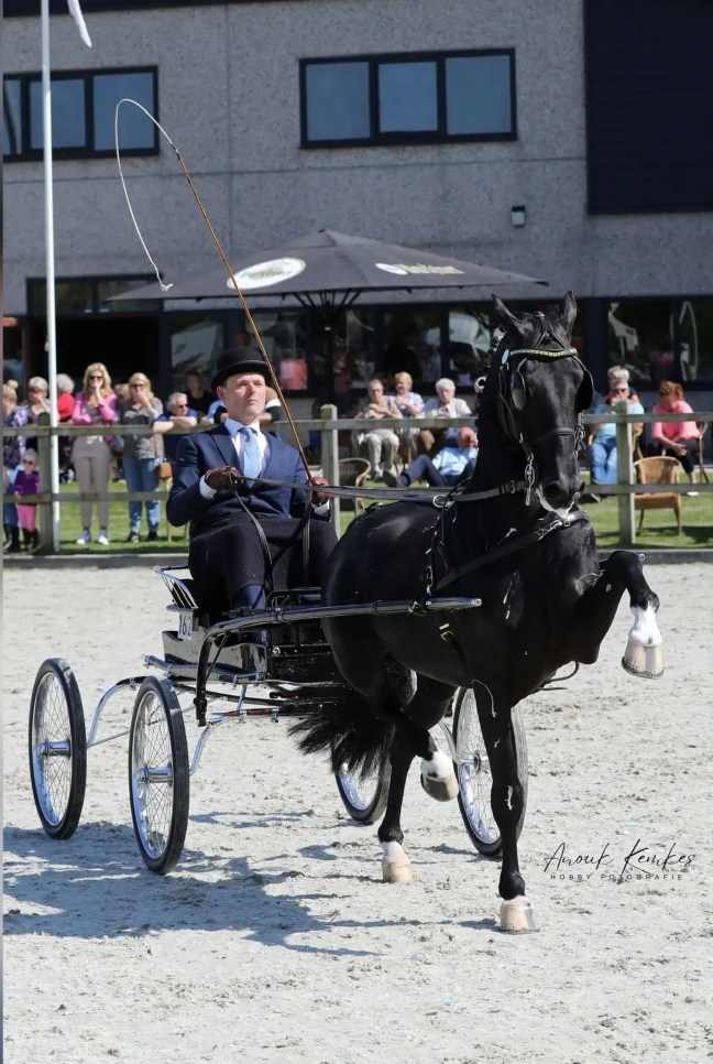 Dylano, Nevaro, Jericho en Eclipse Grasshopper zorgen voor oranje in&nbsp;Exloo