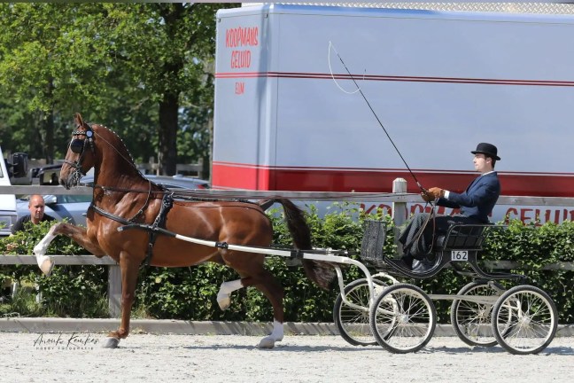Jericho en Dylano naar zilver in&nbsp;Lunteren