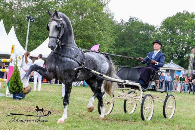 Winst voor Onana in eerste competitiewedstrijd